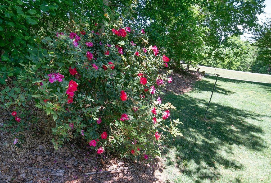 1802 Hopewell Road - Photo 27