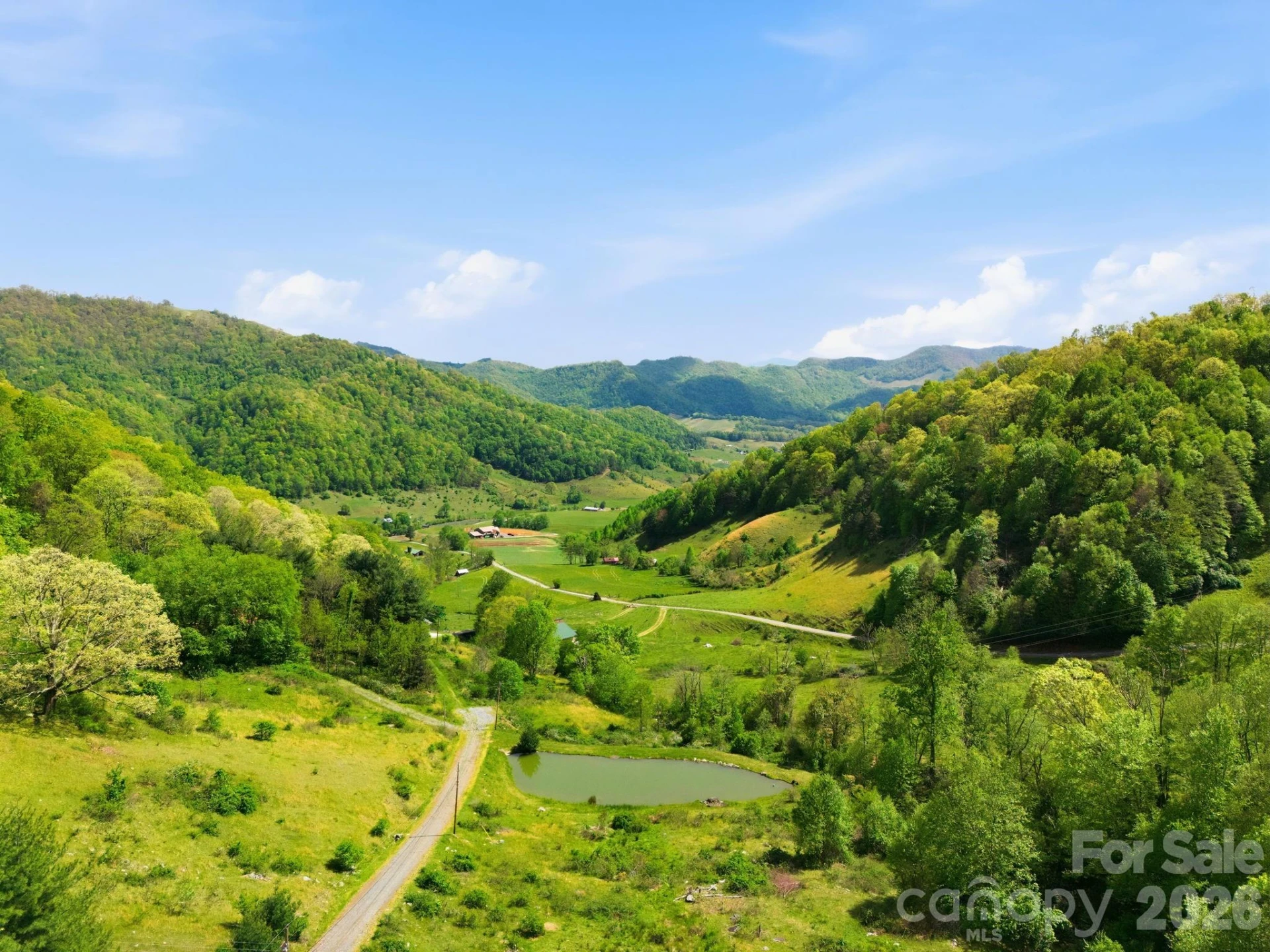 2225 Bald Creek Road - Photo 9