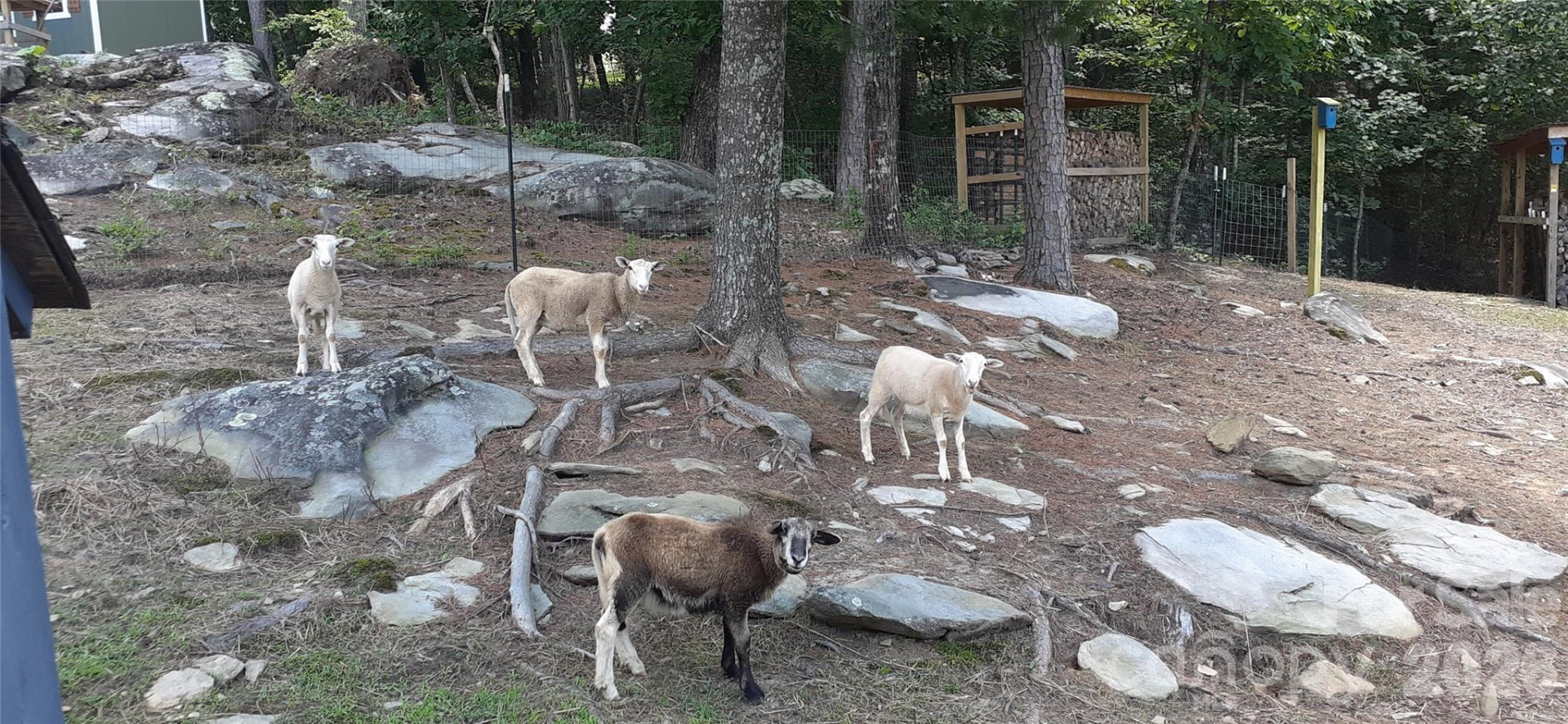 159 Volley Road - Photo 31