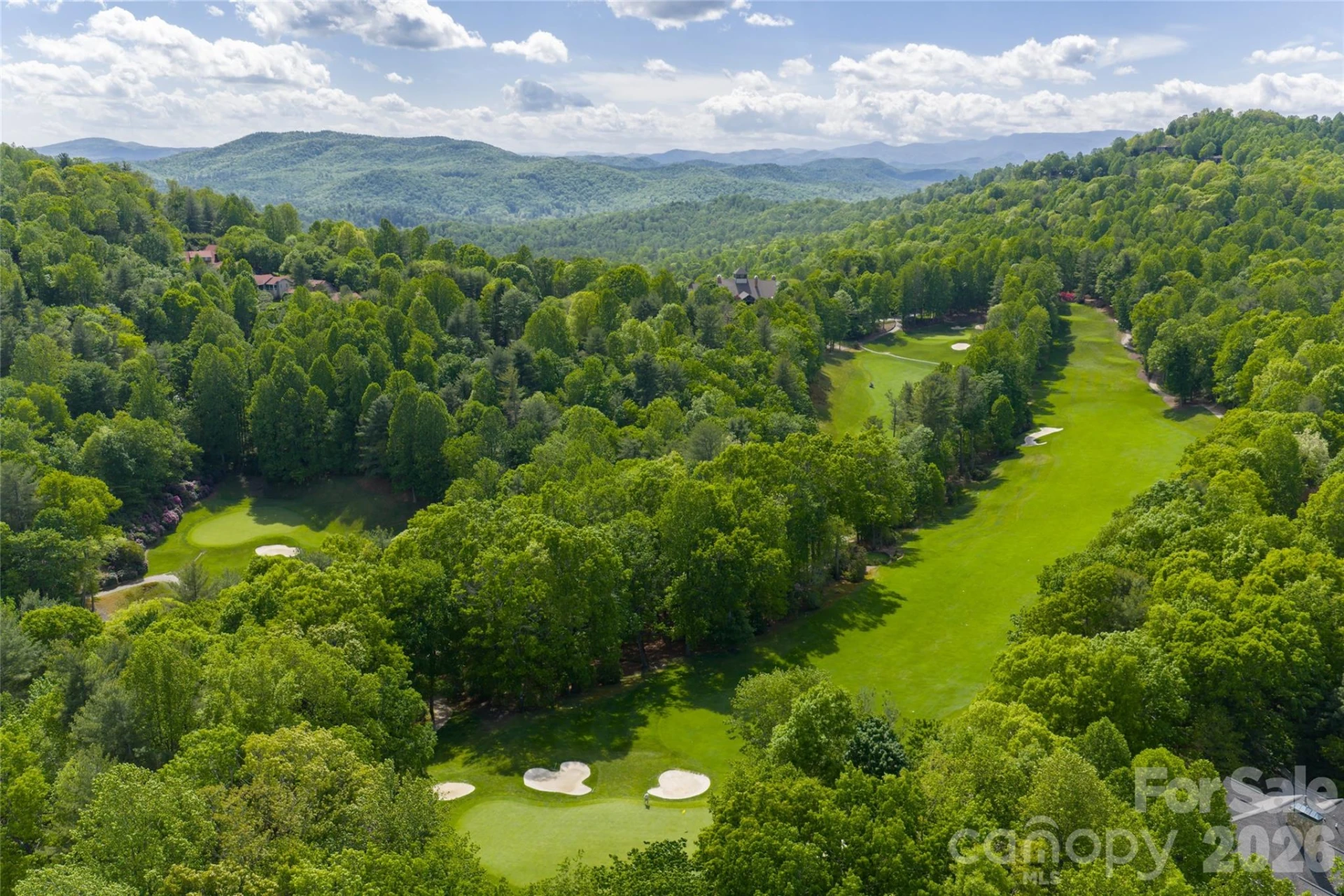 99 Little Cherokee Ridge - Photo 5