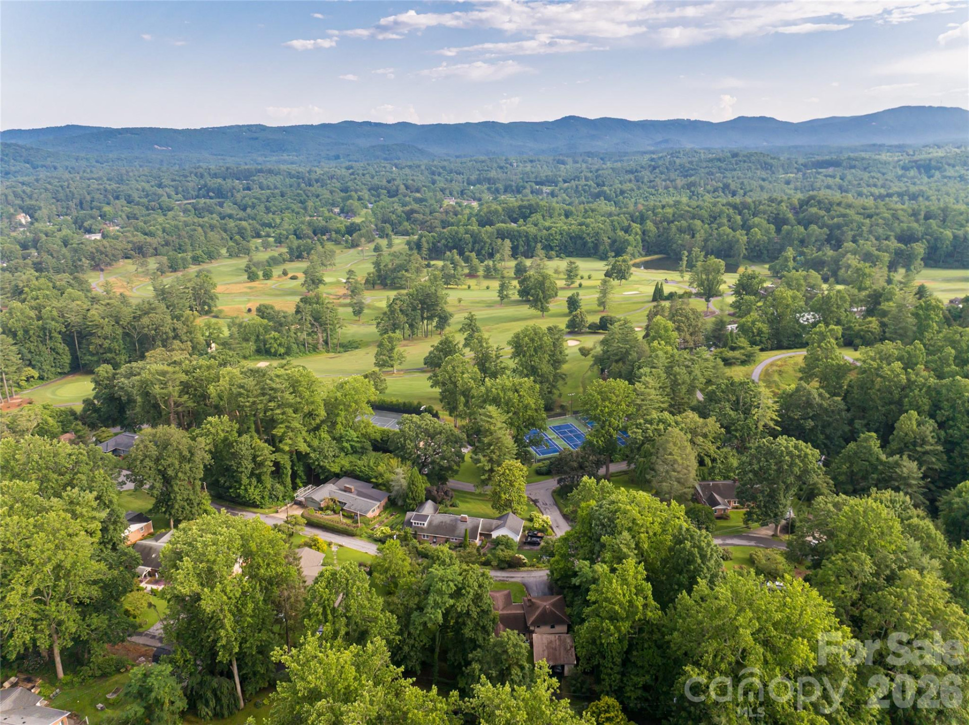 300 White Pine Drive - Photo 47