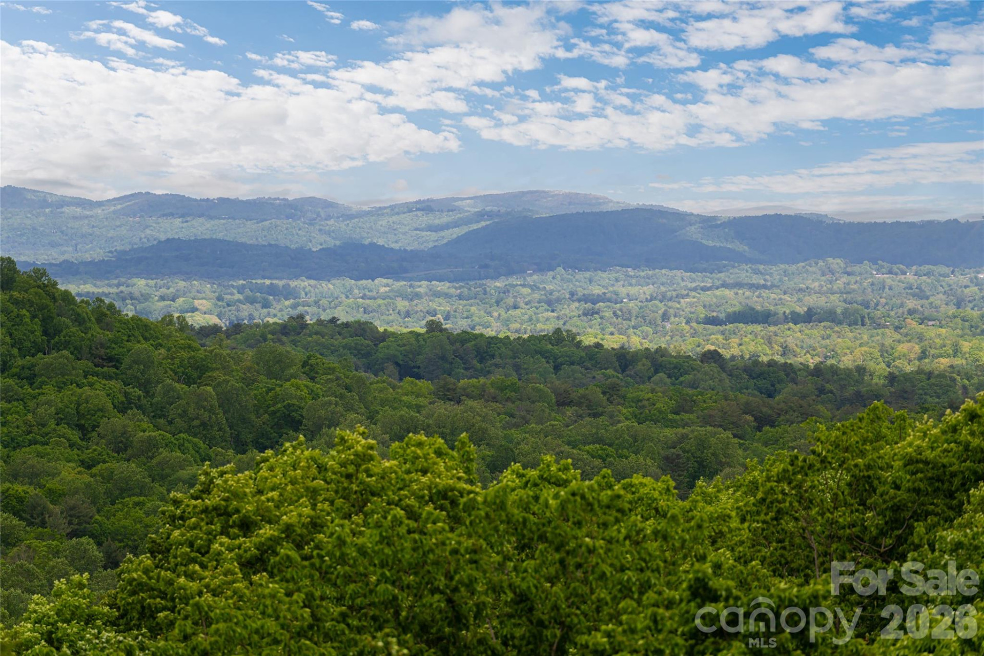 12 Spring Ridge Lane - Photo 2