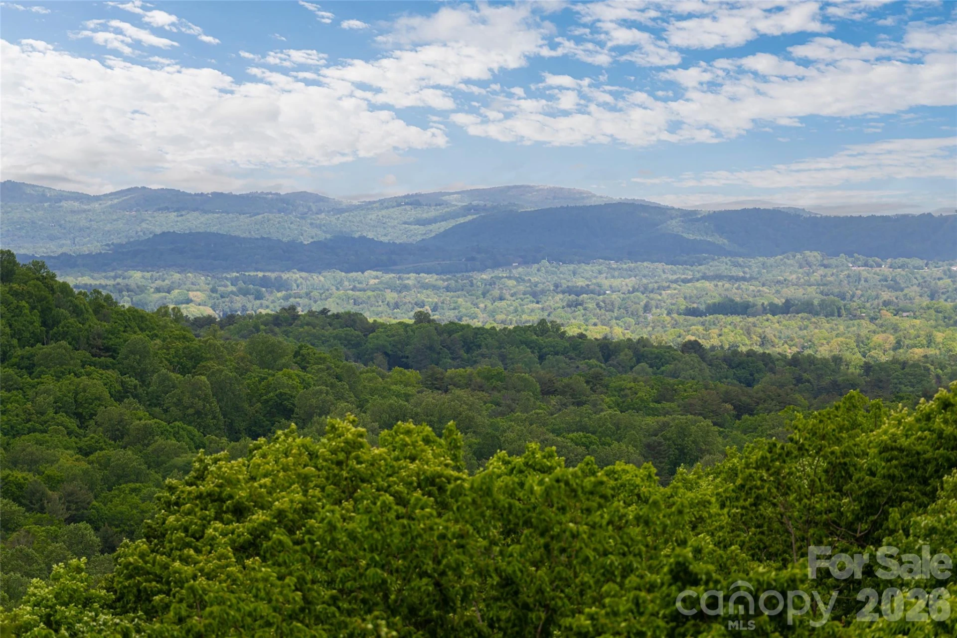 12 Spring Ridge Lane - Photo 2
