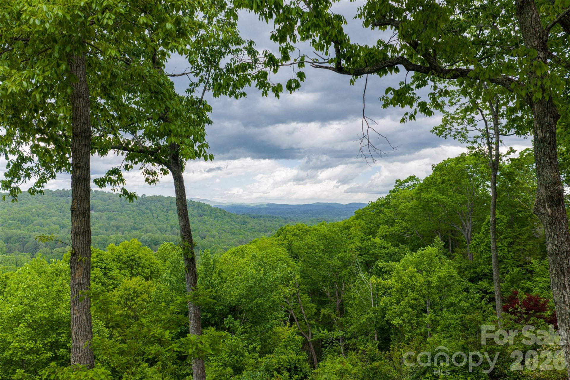 12 Spring Ridge Lane - Photo 17