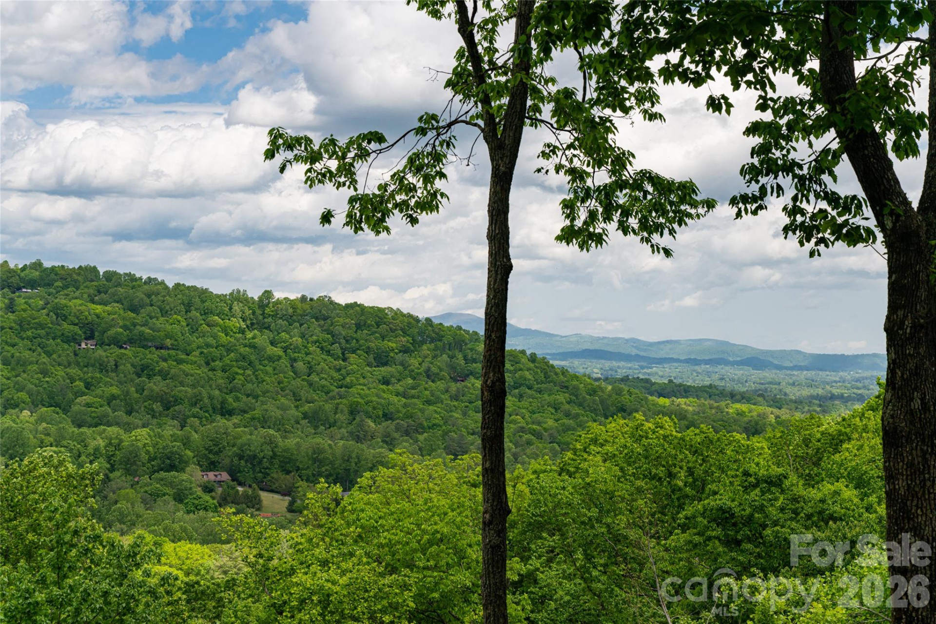 12 Spring Ridge Lane - Photo 40
