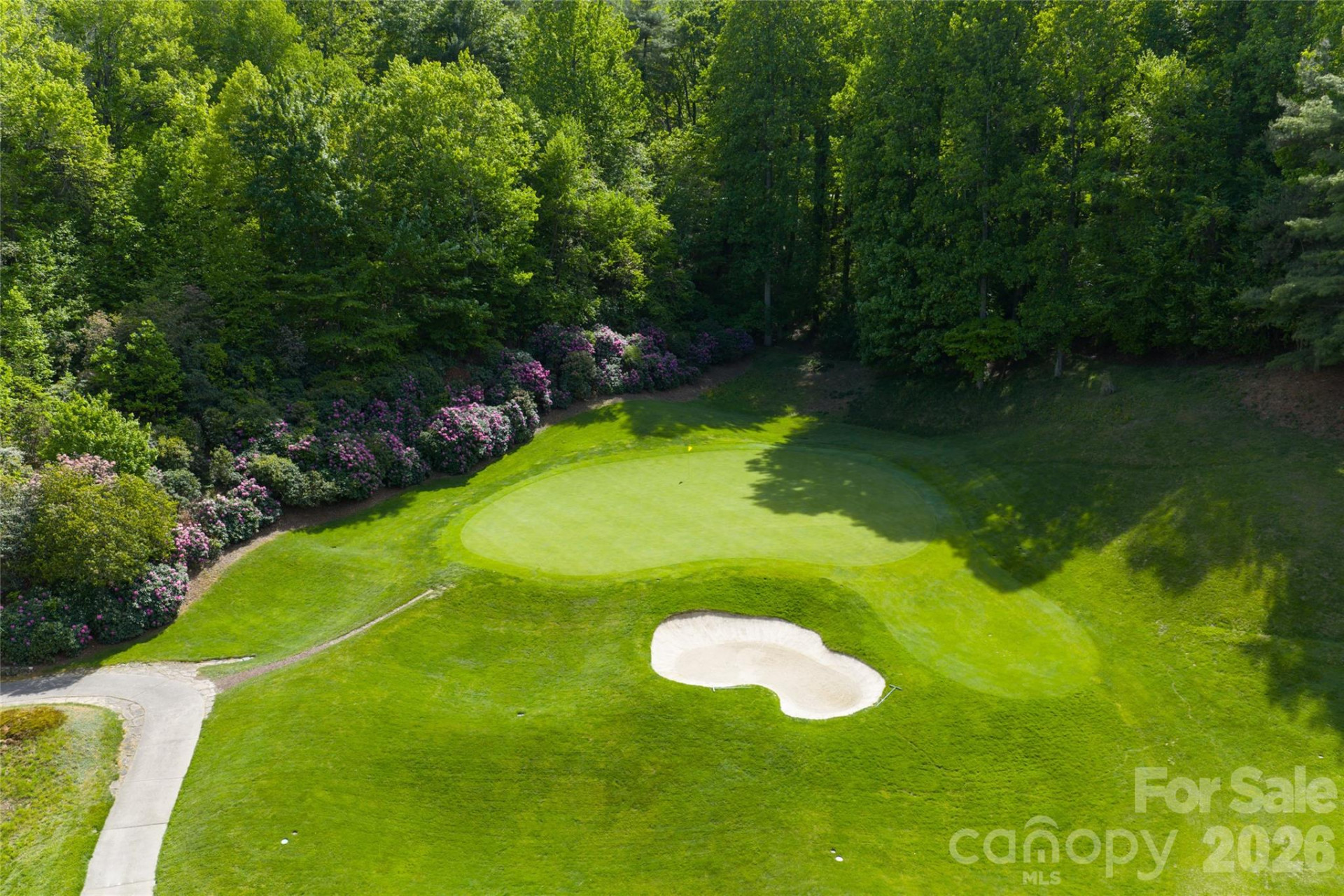 12 Spring Ridge Lane - Photo 44