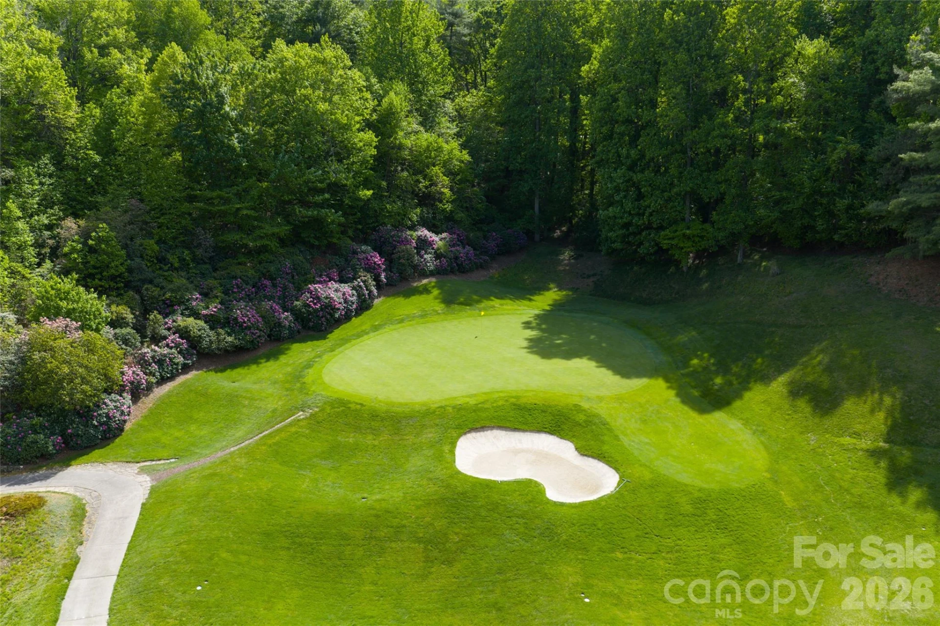 12 Spring Ridge Lane - Photo 44