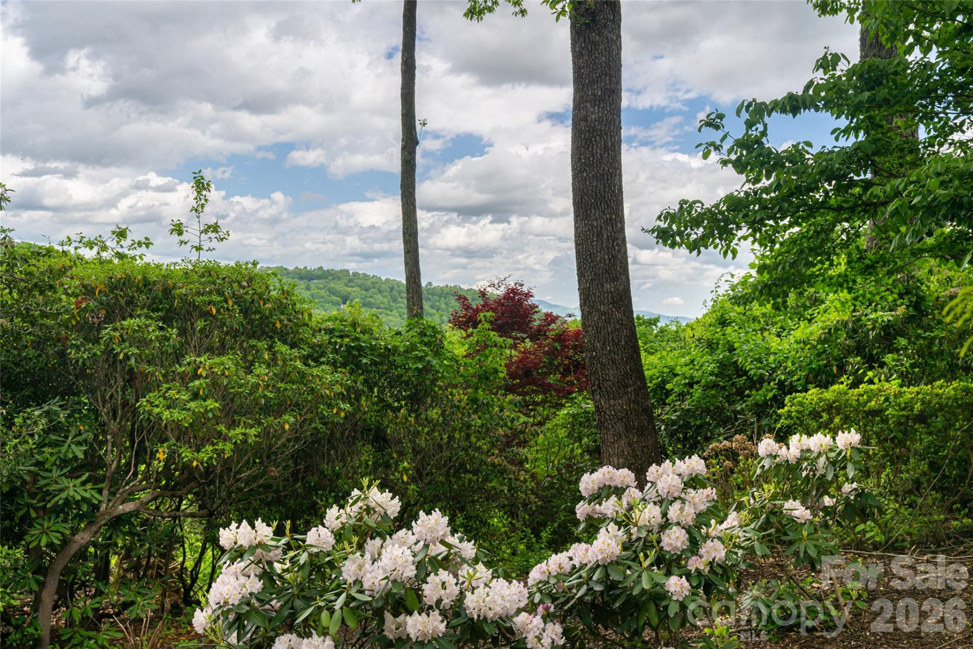 12 Spring Ridge Lane - Photo 45