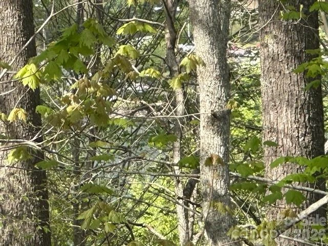 134 Mossy Ridge Road - Photo 17