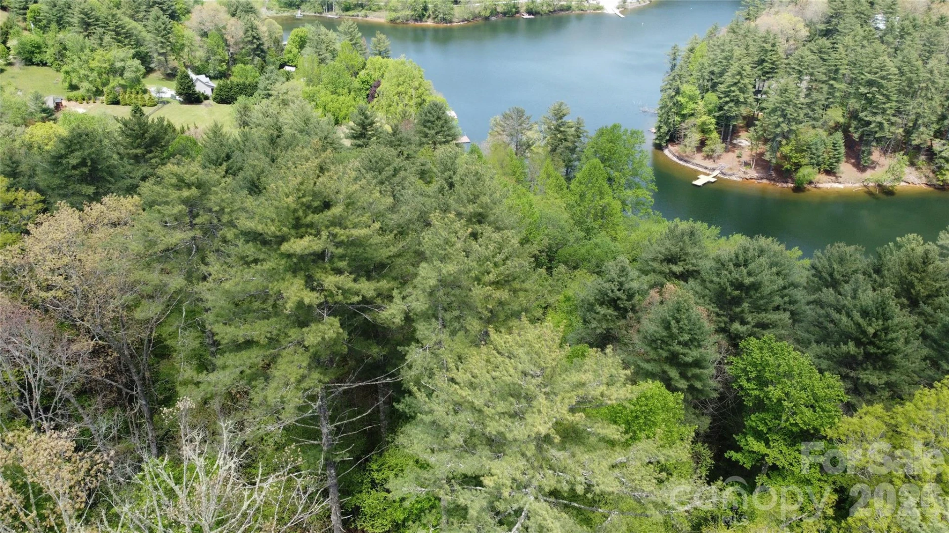 134 Mossy Ridge Road - Photo 4