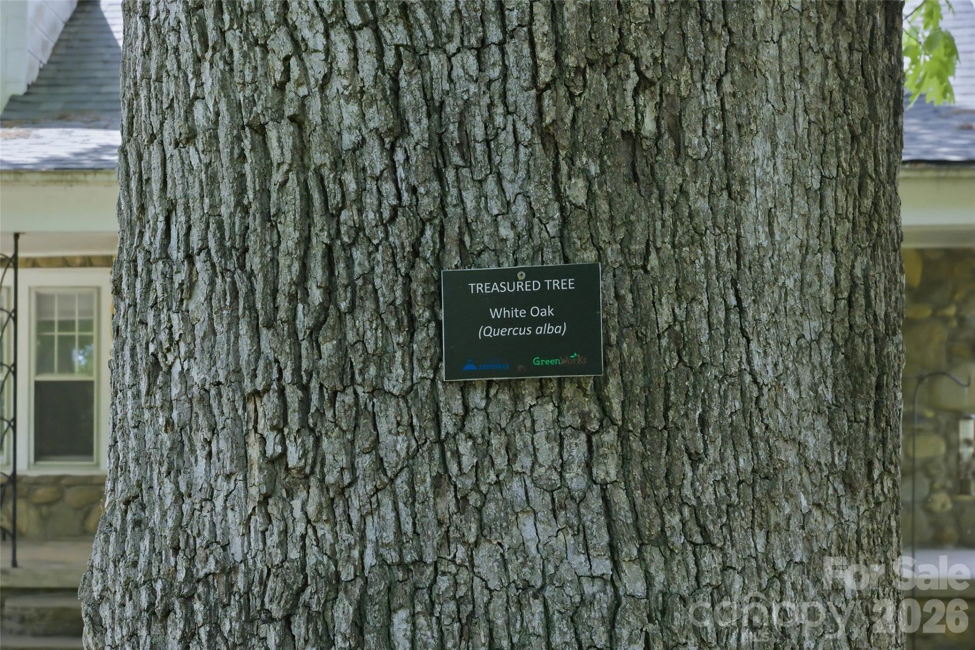 51 & 59 Gudger Road - Photo 47