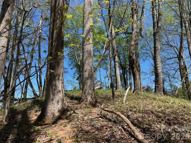 0 Crackin Chestnut Lane, Sylva, NC, 28779