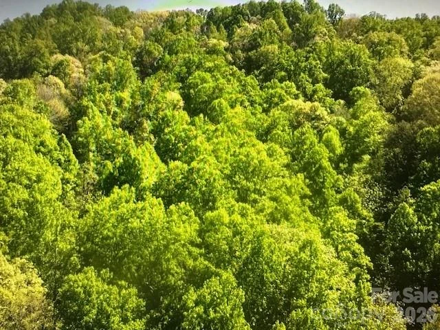 0 Crackin Chestnut Lane - Photo 7