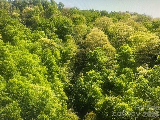 0 Crackin Chestnut Lane - Photo 8