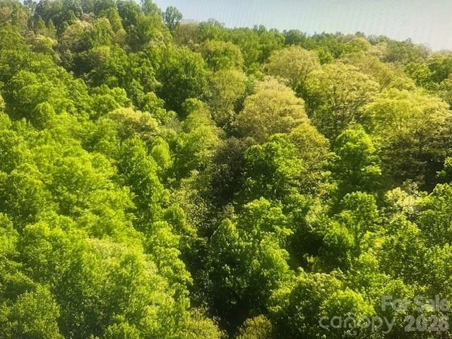 0 Crackin Chestnut Lane - Photo 8