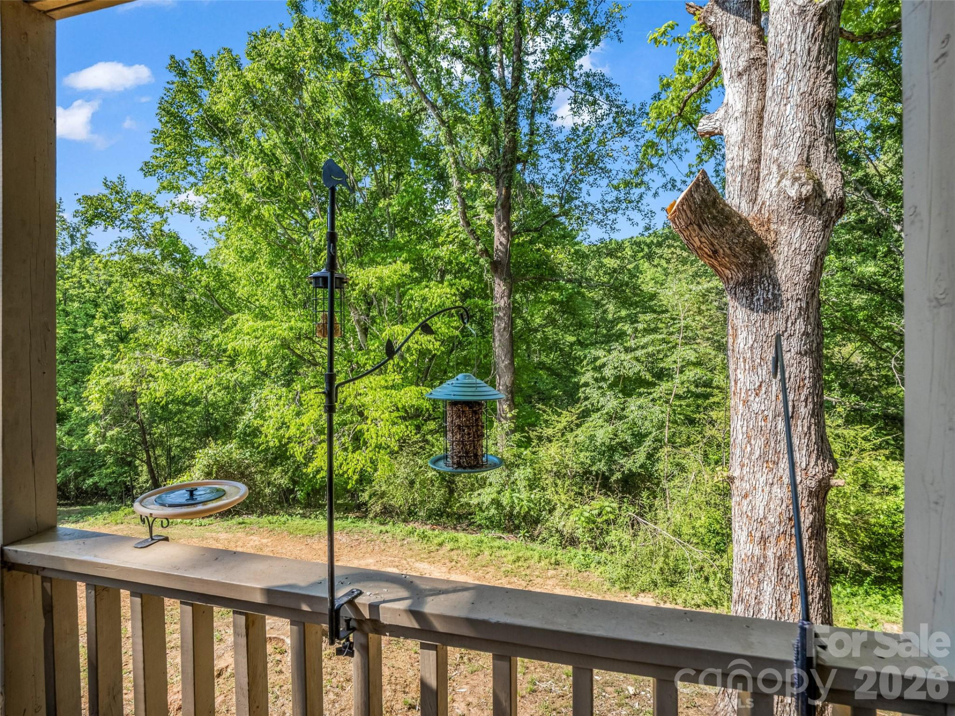 160 Whitney Boulevard #25 - Photo 17