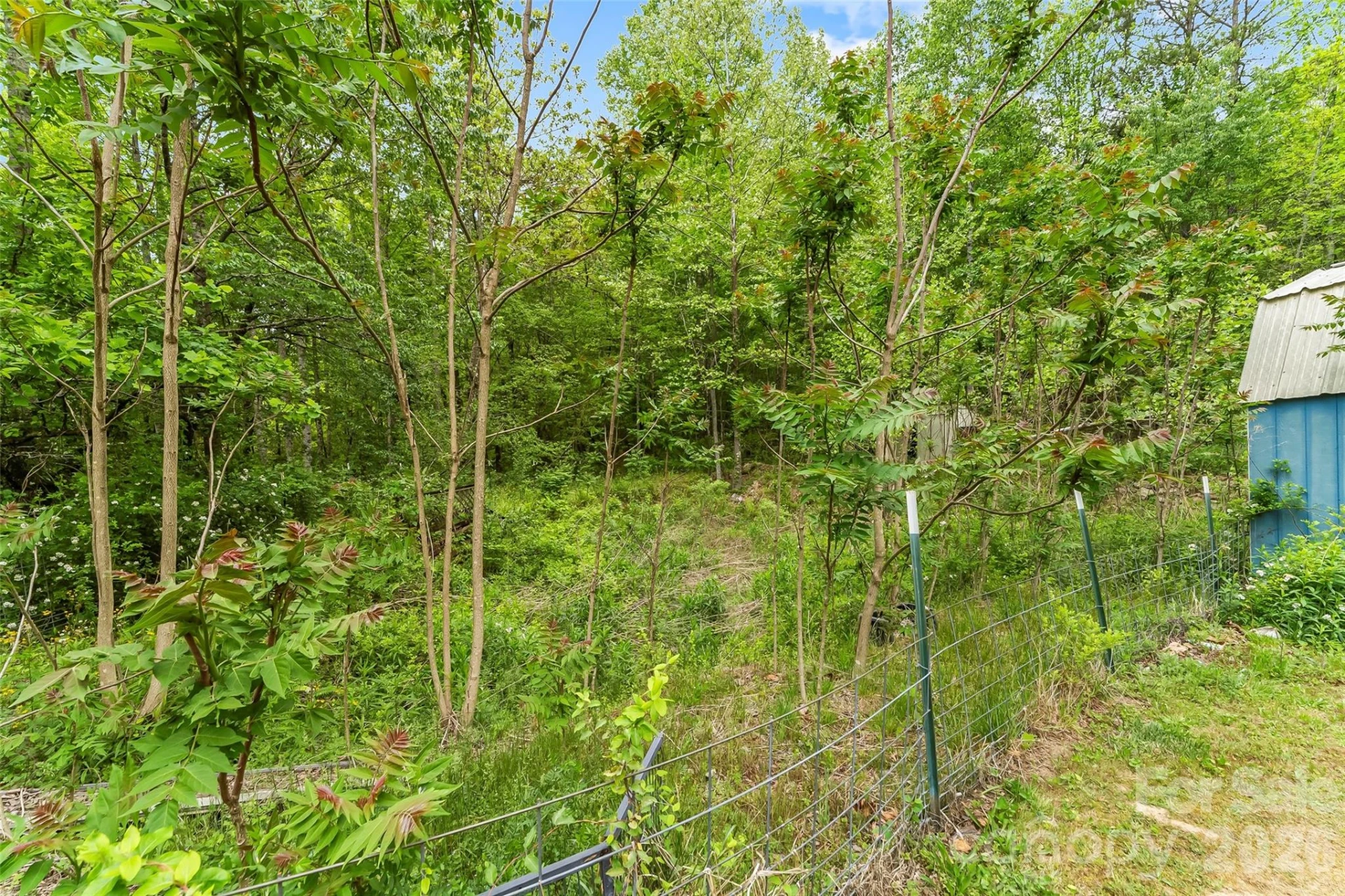 1000 Mountain View Church Road - Photo 27