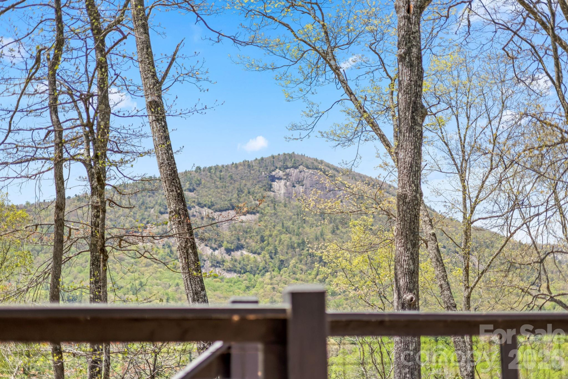 261 Rock Face Trail #LT 10c - Photo 25