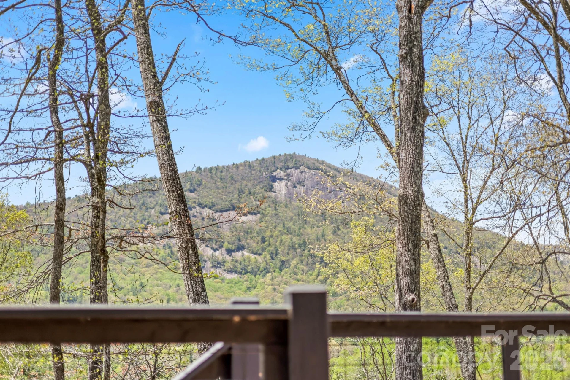 261 Rock Face Trail #LT 10c - Photo 25