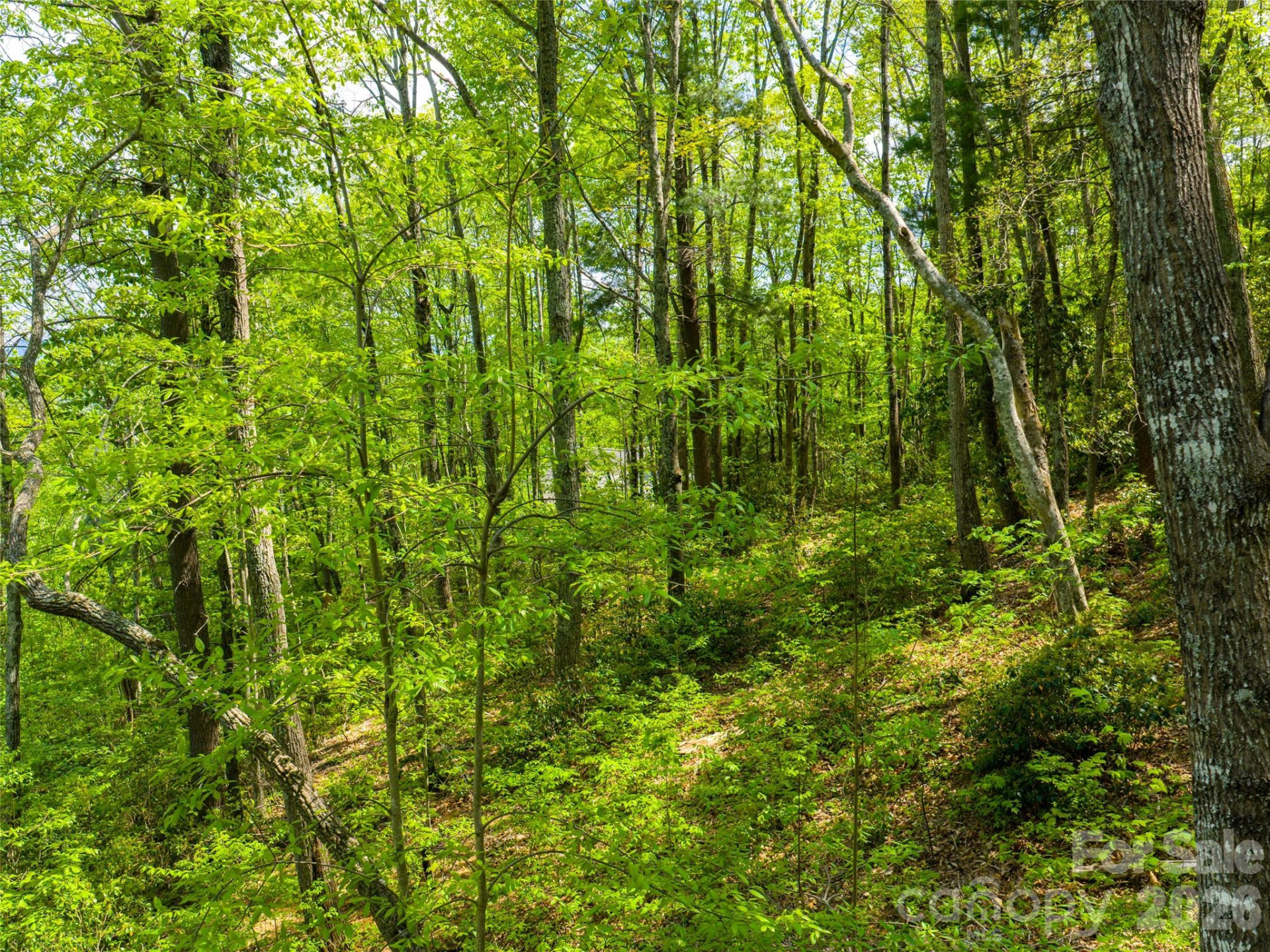 490 Barrington Drive #64 - Photo 11