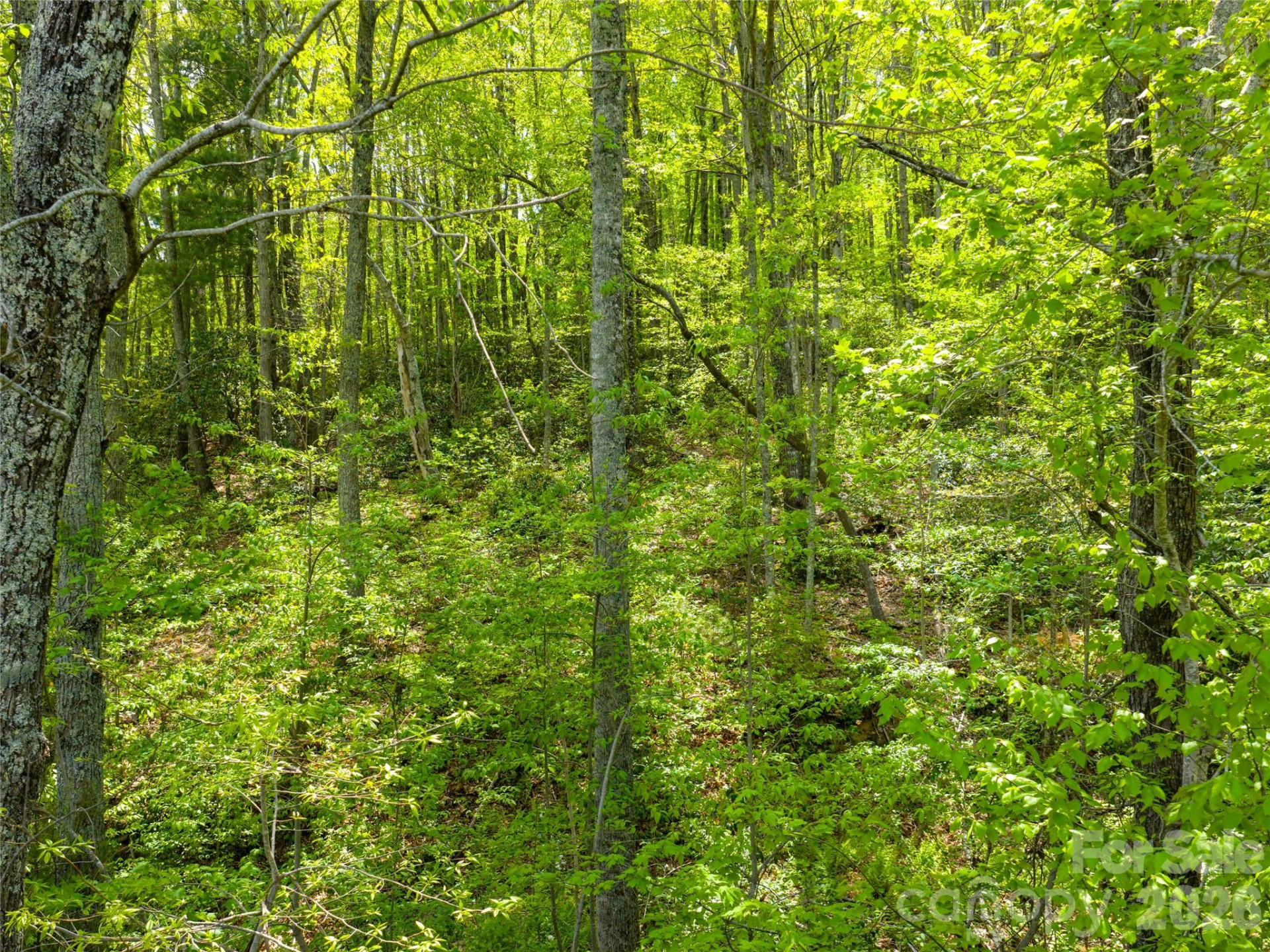 490 Barrington Drive #64 - Photo 4