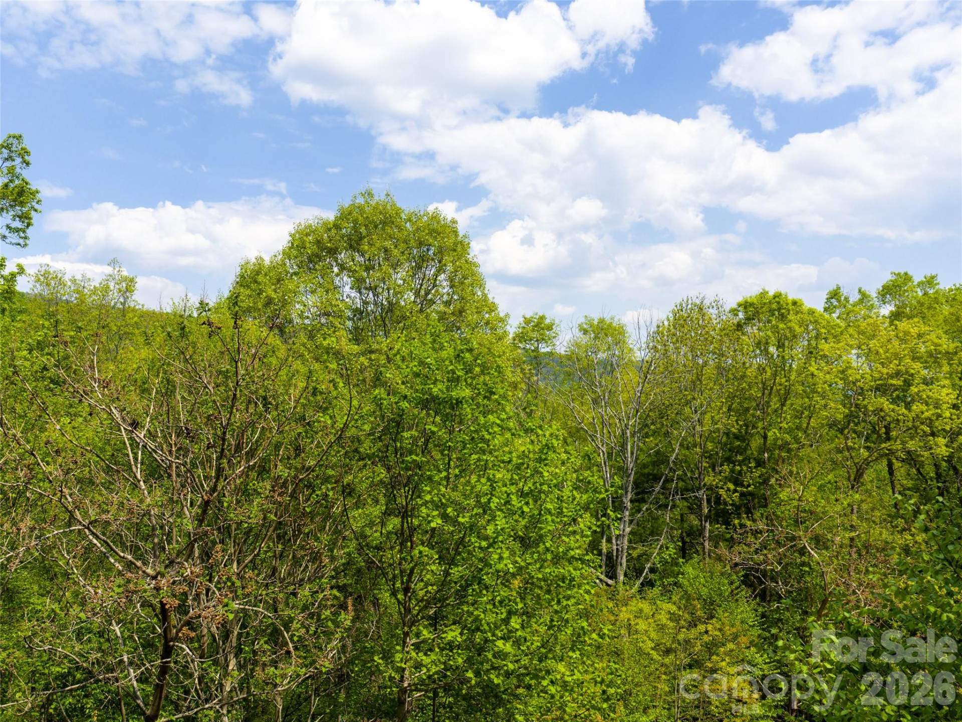 490 Barrington Drive #64 - Photo 5