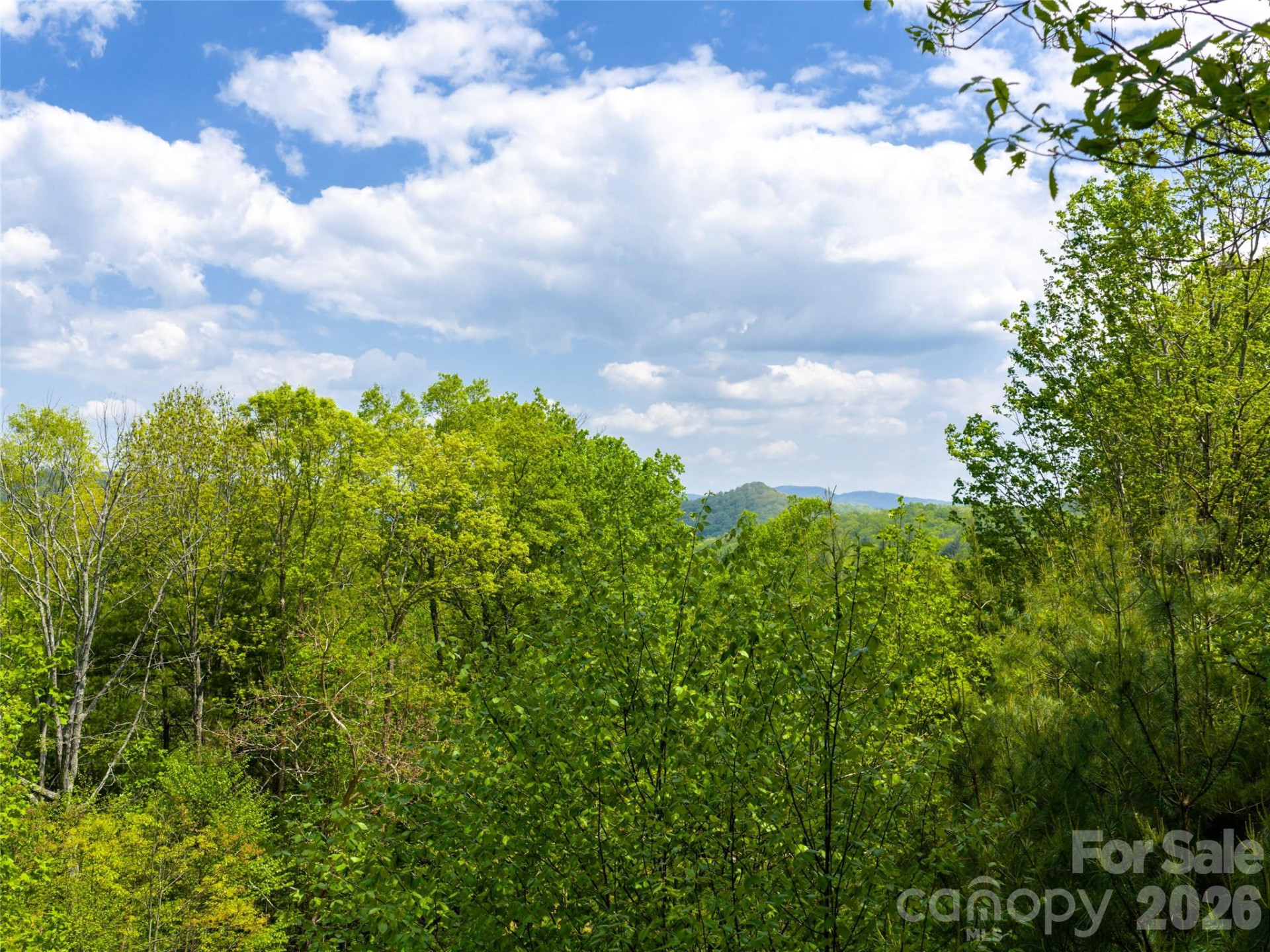 490 Barrington Drive #64 - Photo 6