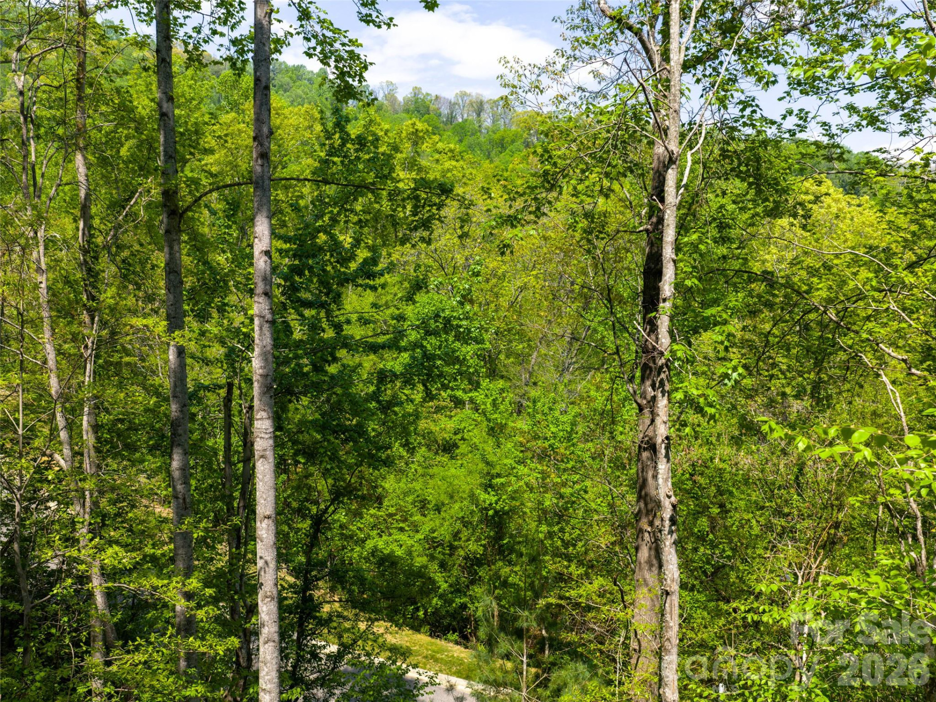 490 Barrington Drive #64 - Photo 9