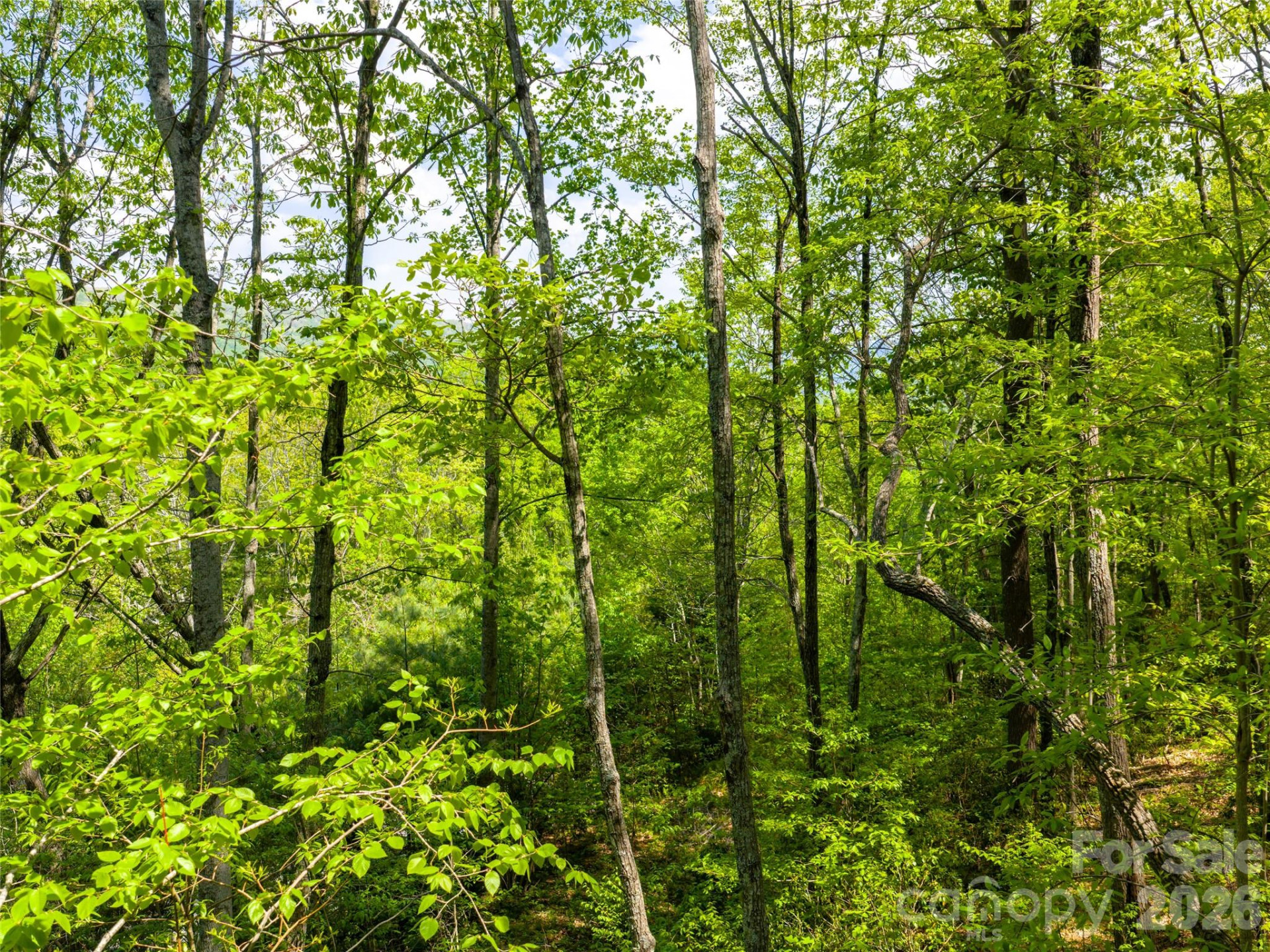 490 Barrington Drive #64 - Photo 10