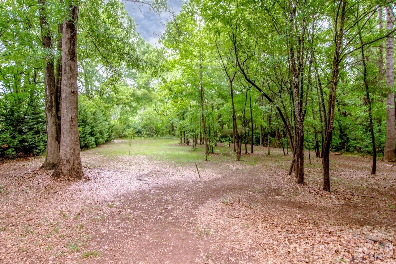 1204 Catawba Street - Photo 21