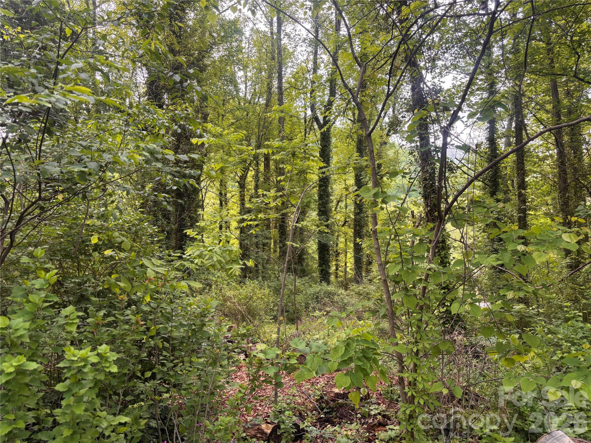 45 Briggs Road - Photo 13