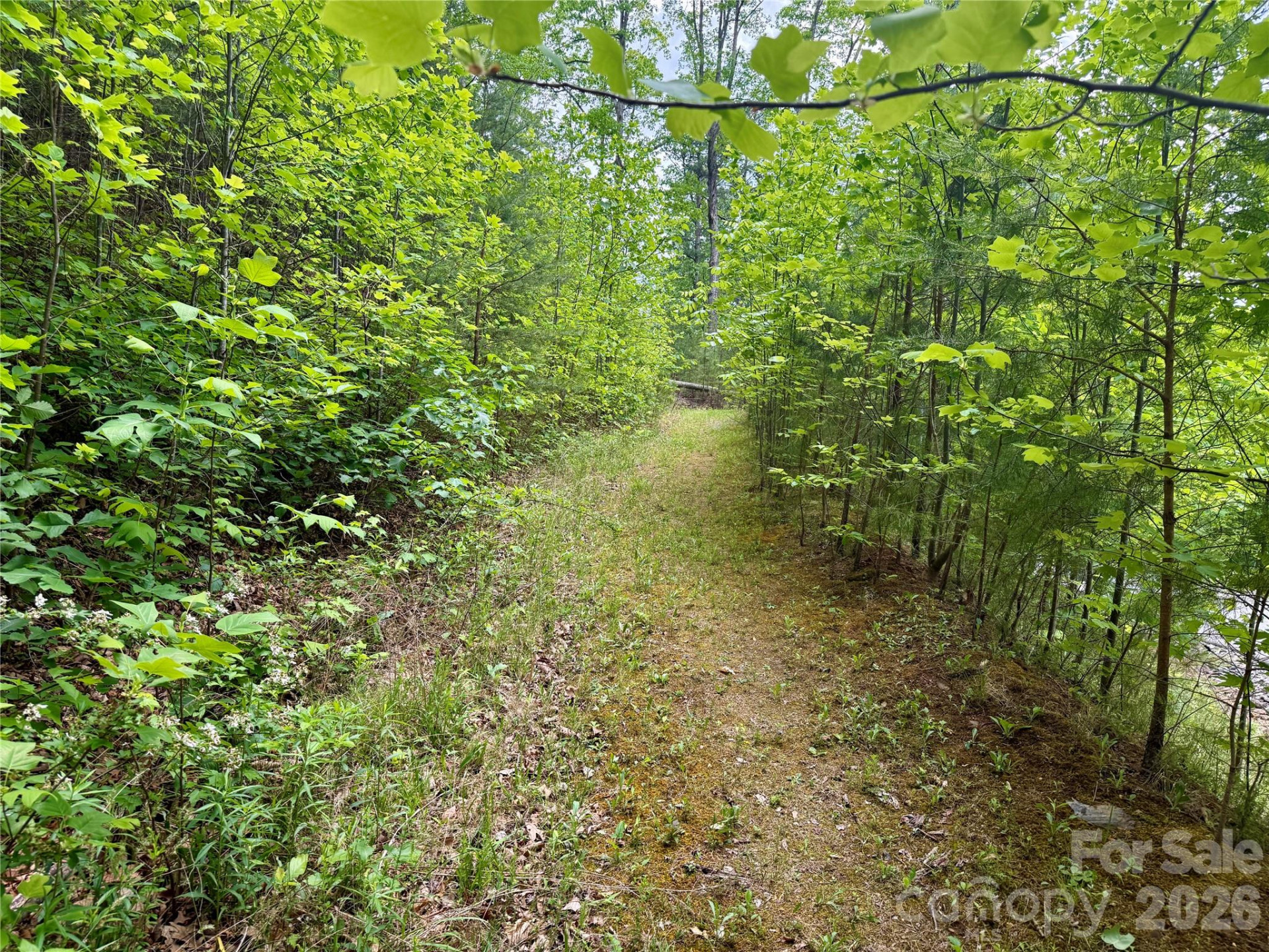 0 Bills Mountain Trail #272 - Photo 4