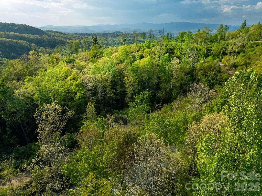 lot 27 Eastatoe Gap Road #27 - Photo 4