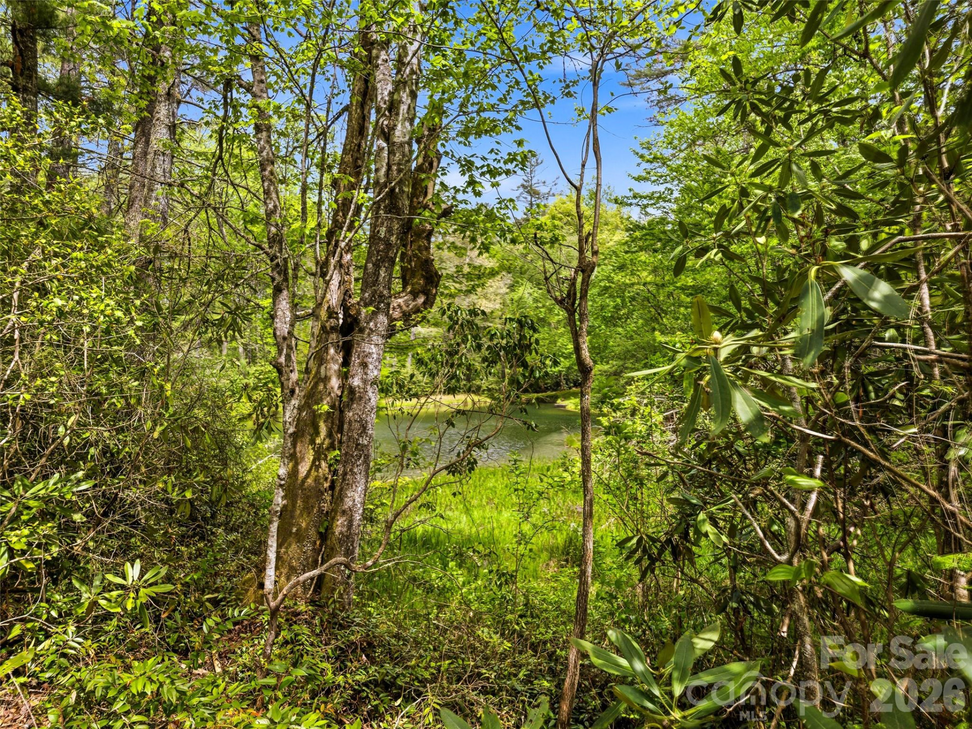 348 Surrey Lane - Photo 43