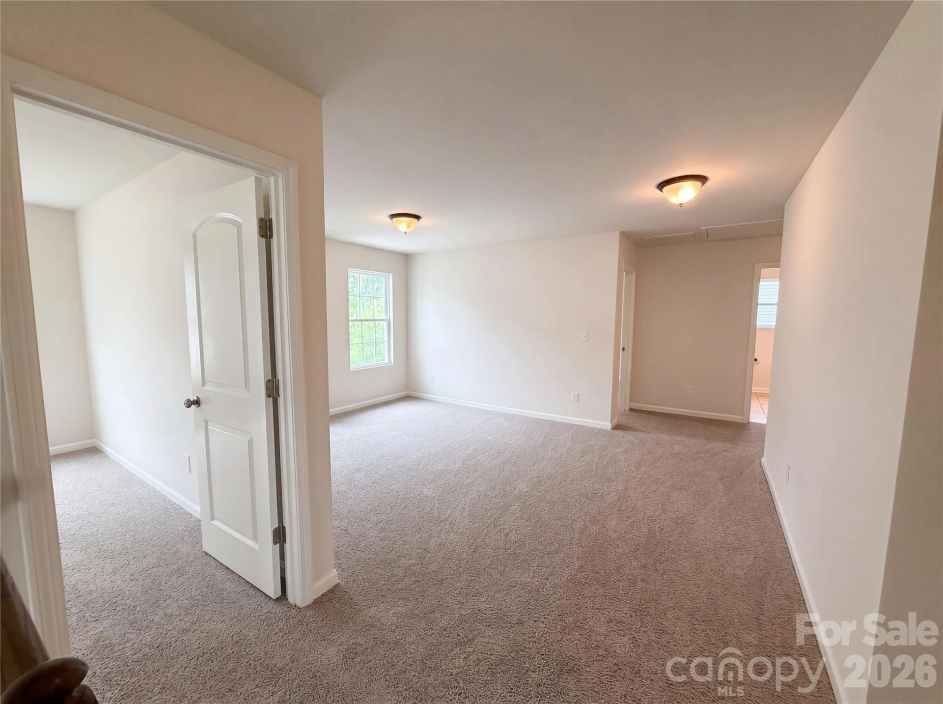 3207 Ringtail Lane - Photo 11