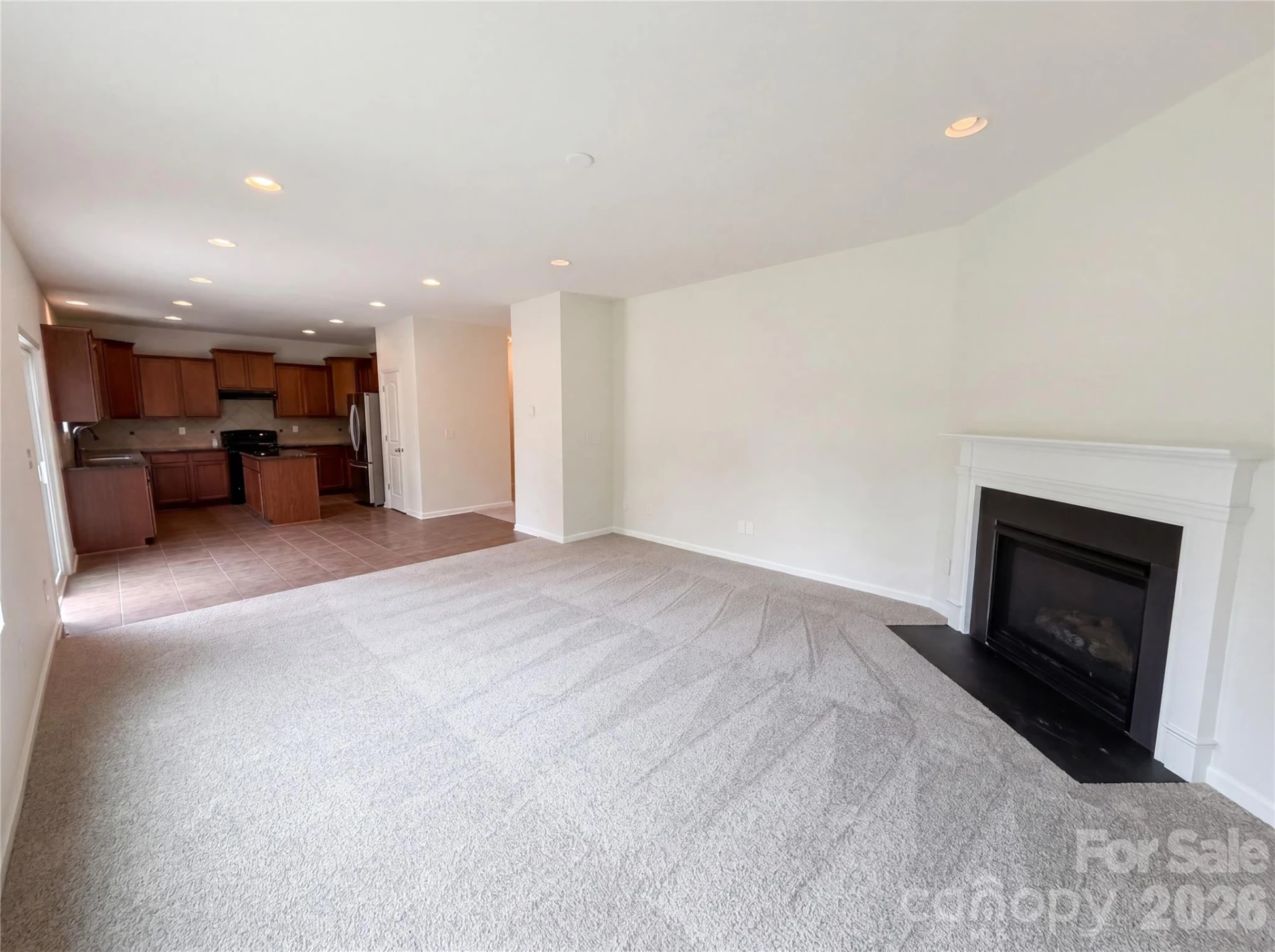 3207 Ringtail Lane - Photo 3
