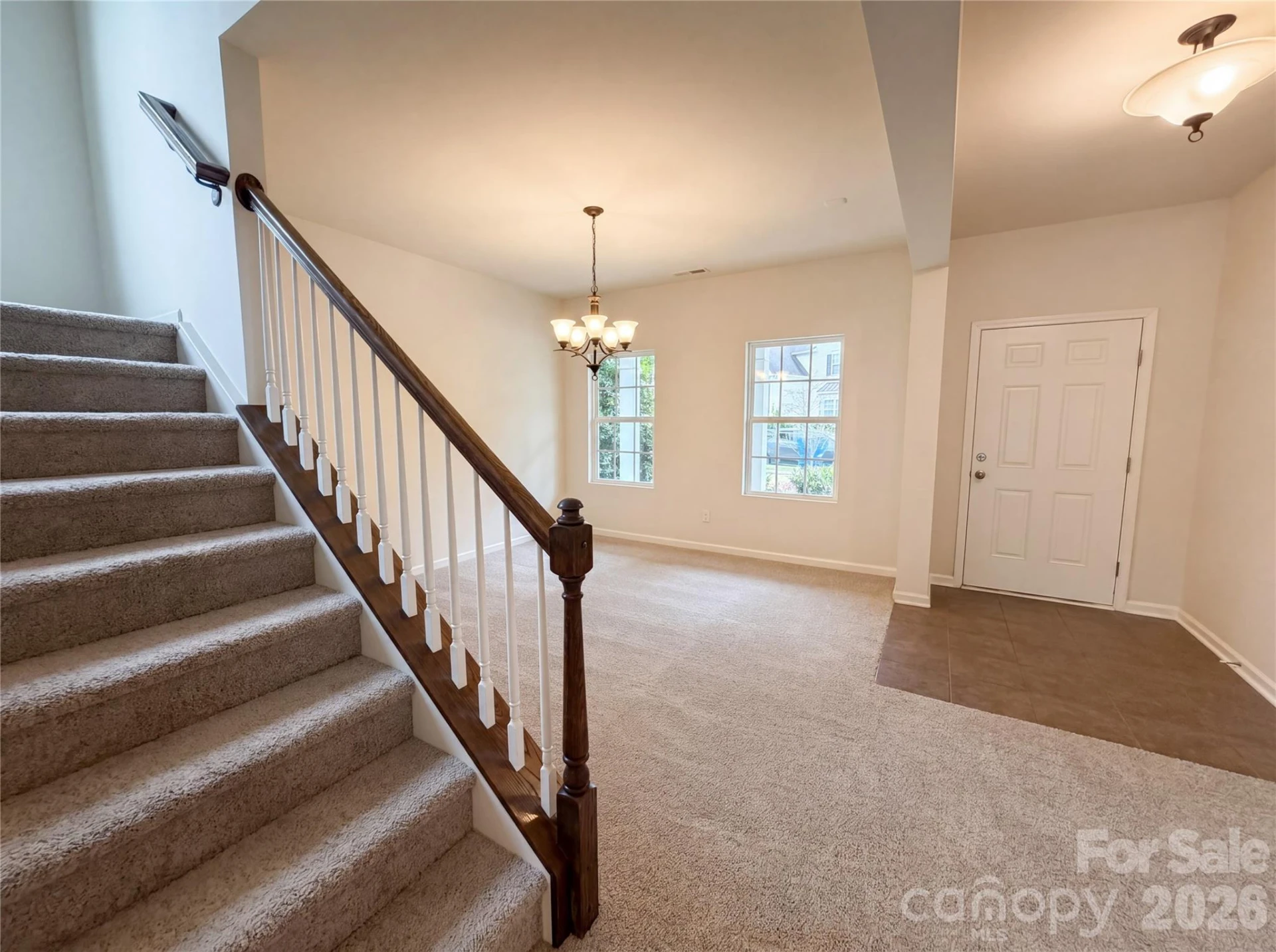 3207 Ringtail Lane - Photo 8