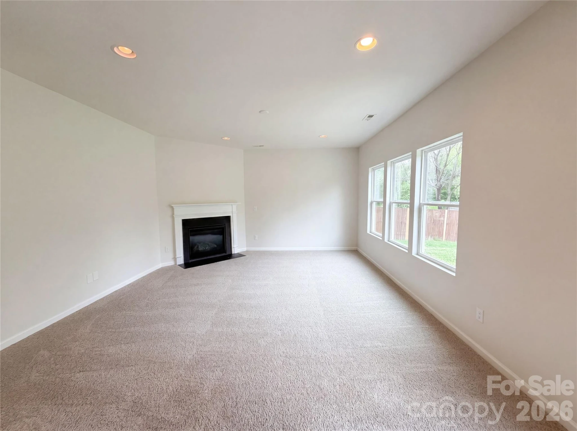 3207 Ringtail Lane - Photo 9
