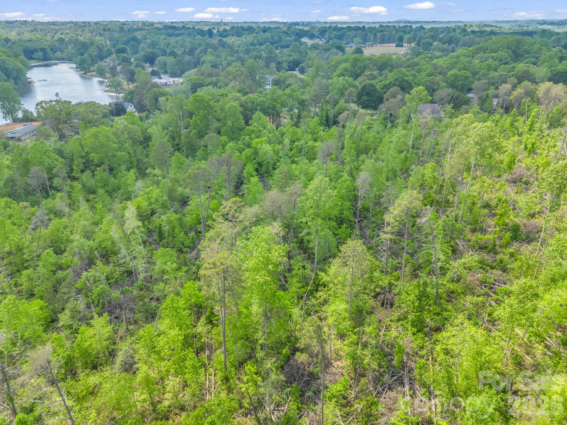 00 Smith Grove Road - Photo 13