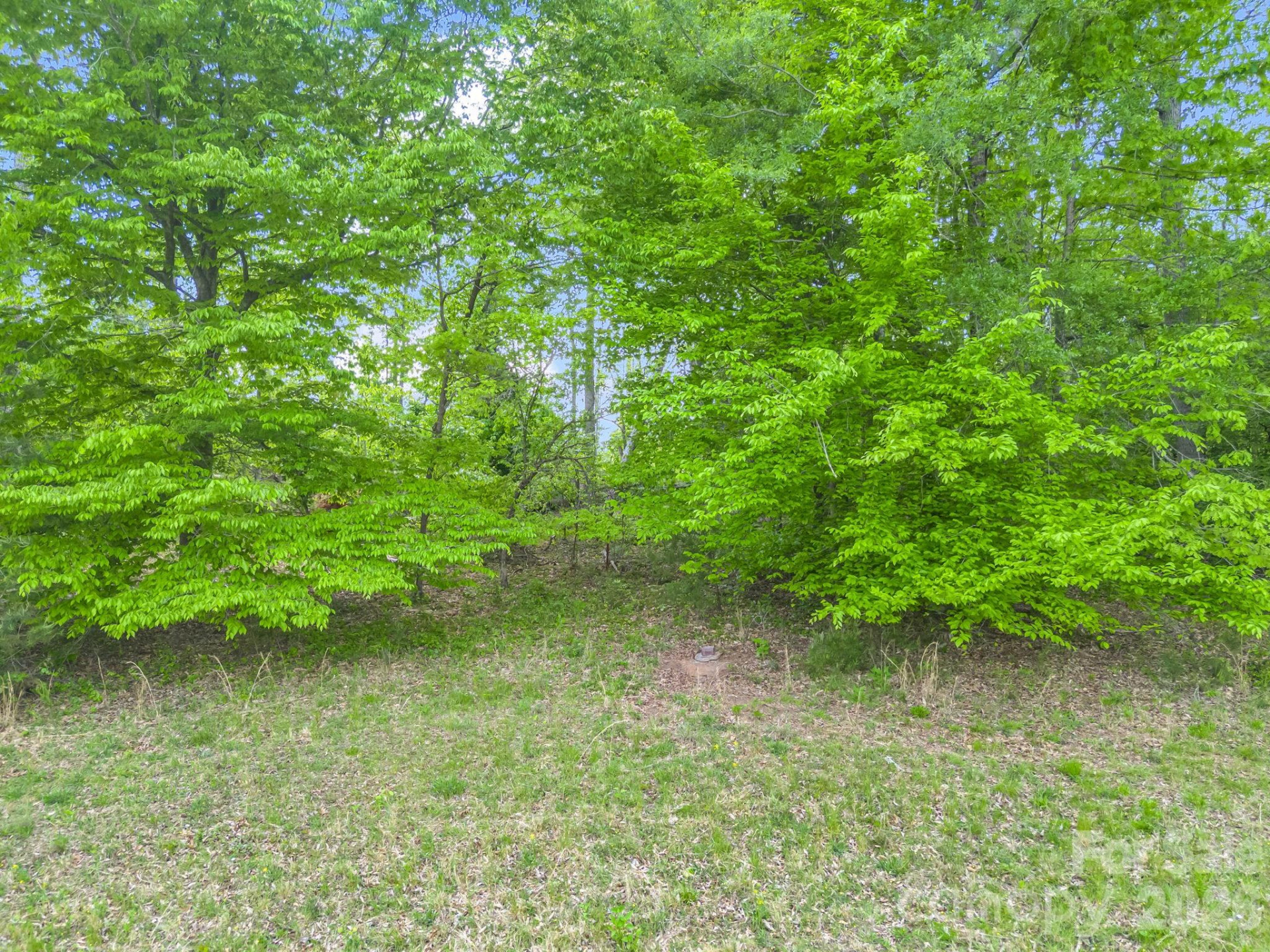 00 Smith Grove Road - Photo 4