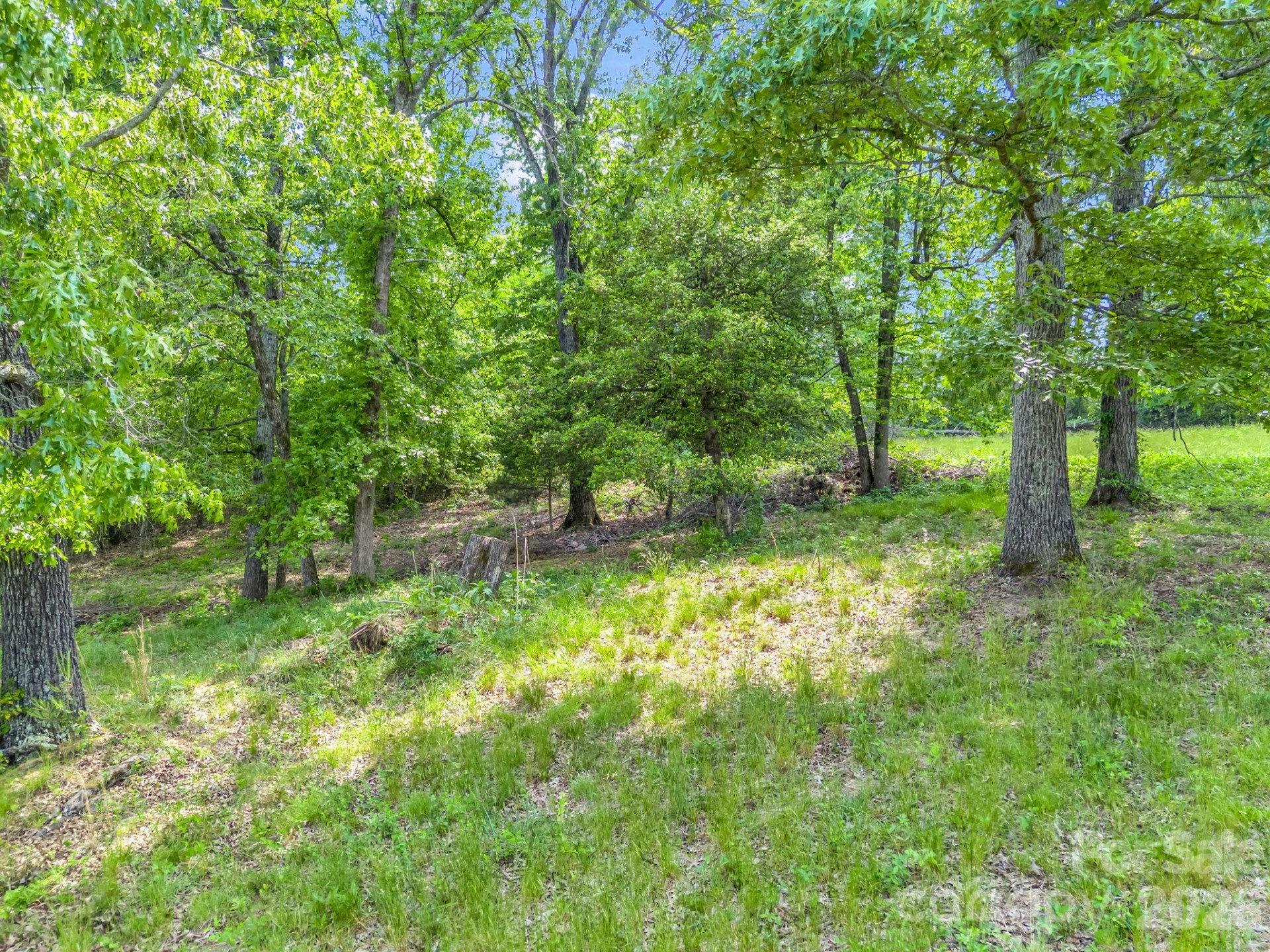 00 Smith Grove Road - Photo 5