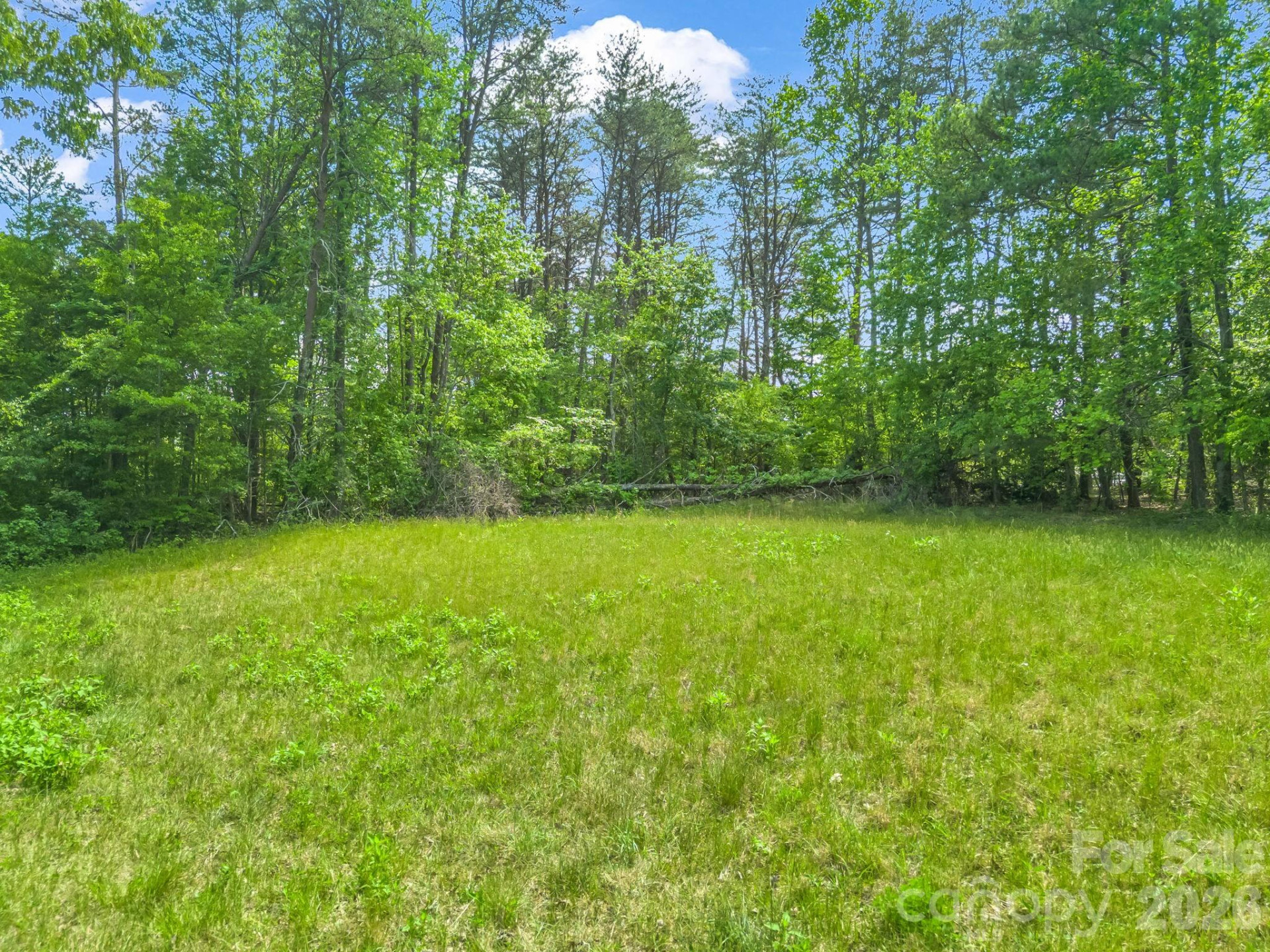 00 Smith Grove Road - Photo 6