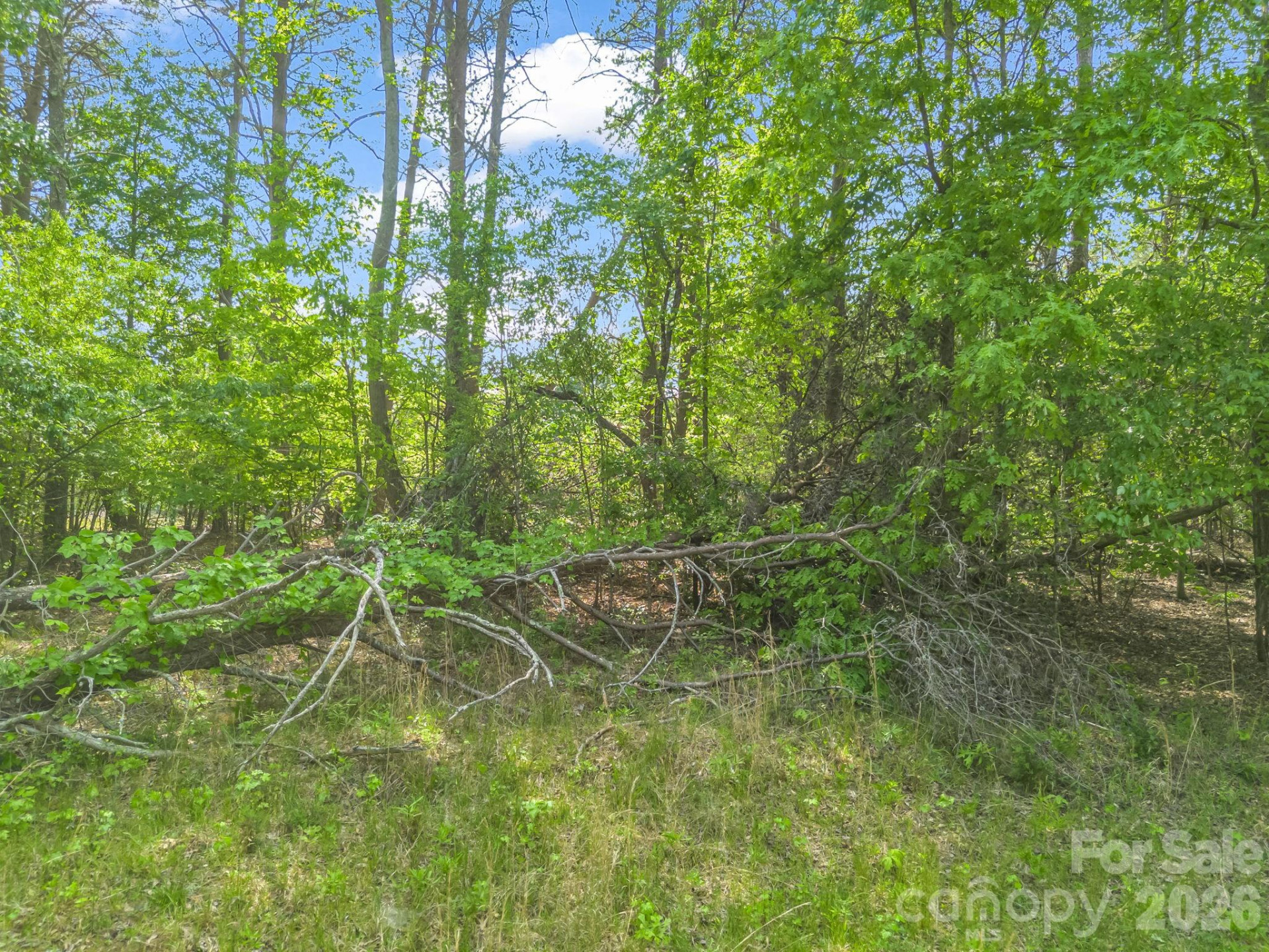 00 Smith Grove Road - Photo 8