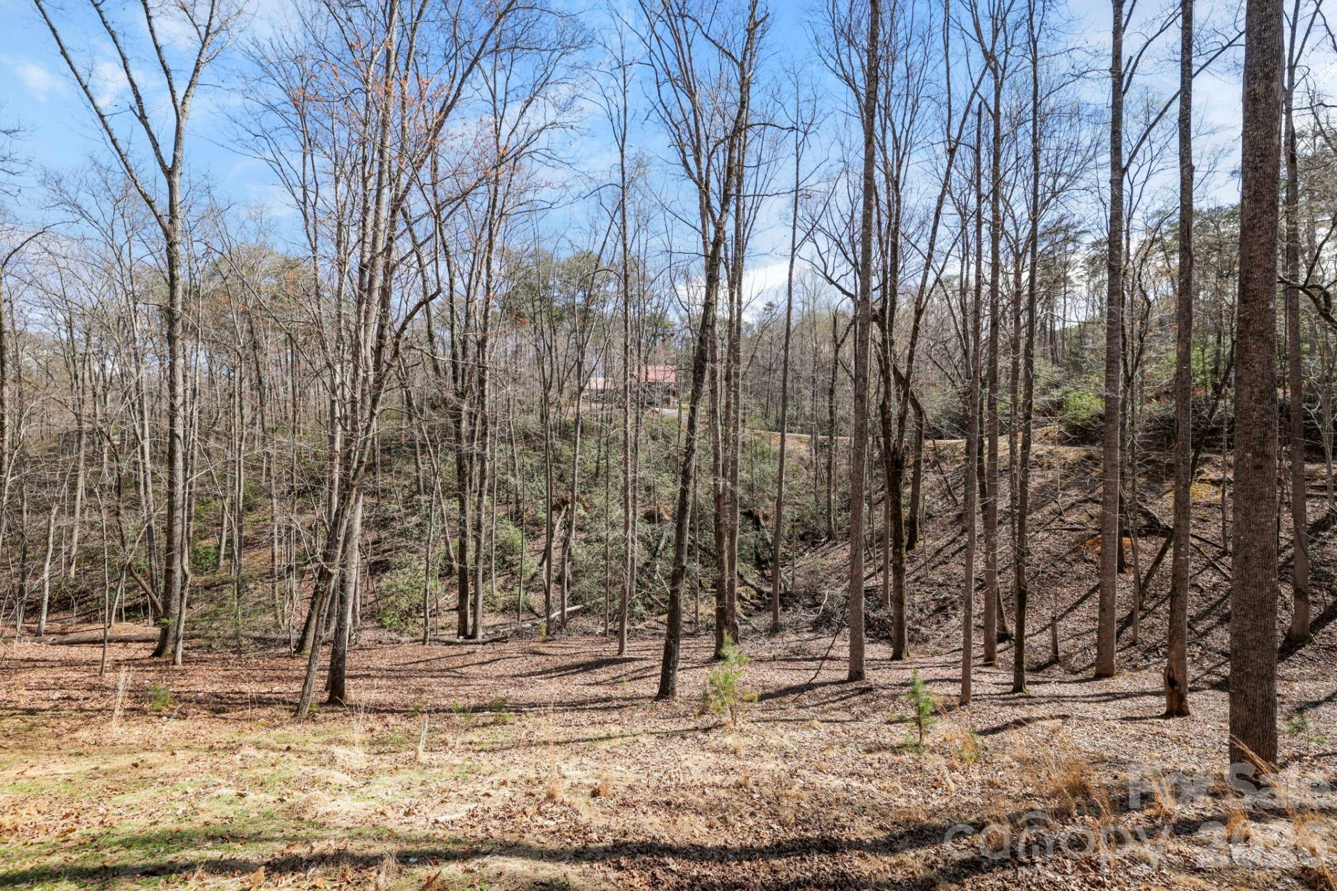 344 Wolf Trail - Photo 37
