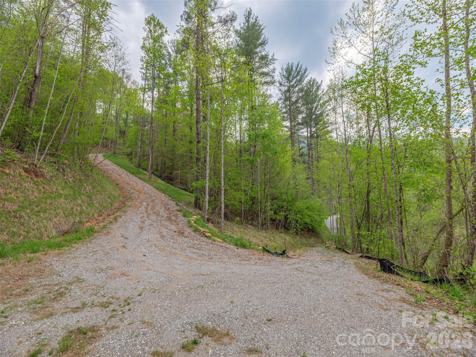 000 Caney Fork Road - Photo 2