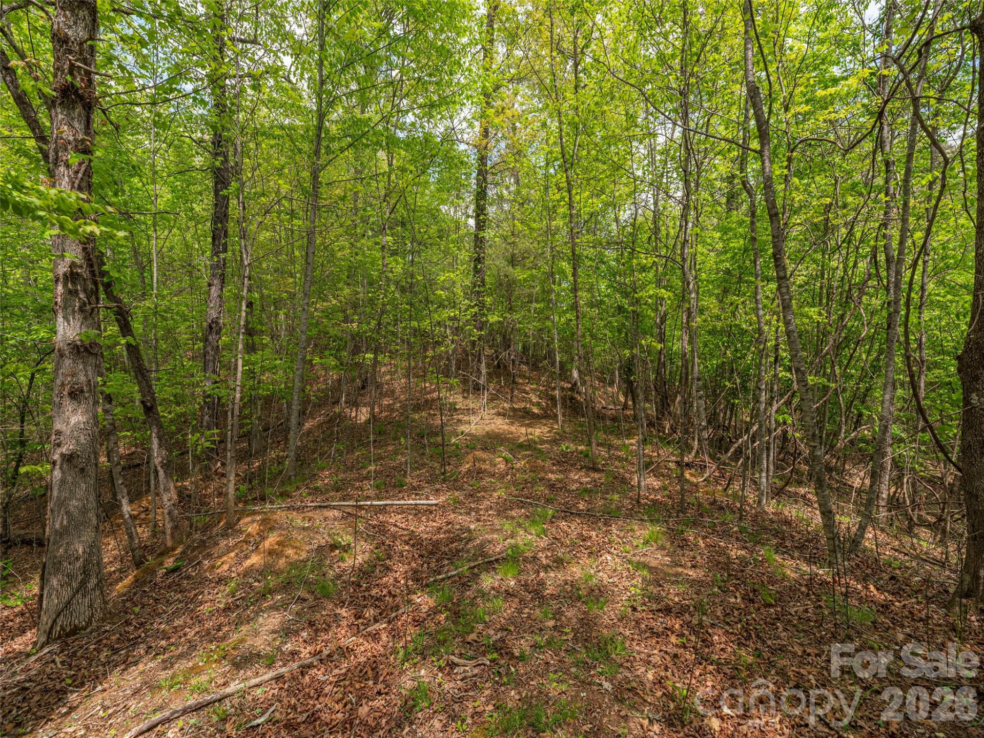 000 Caney Fork Road - Photo 11