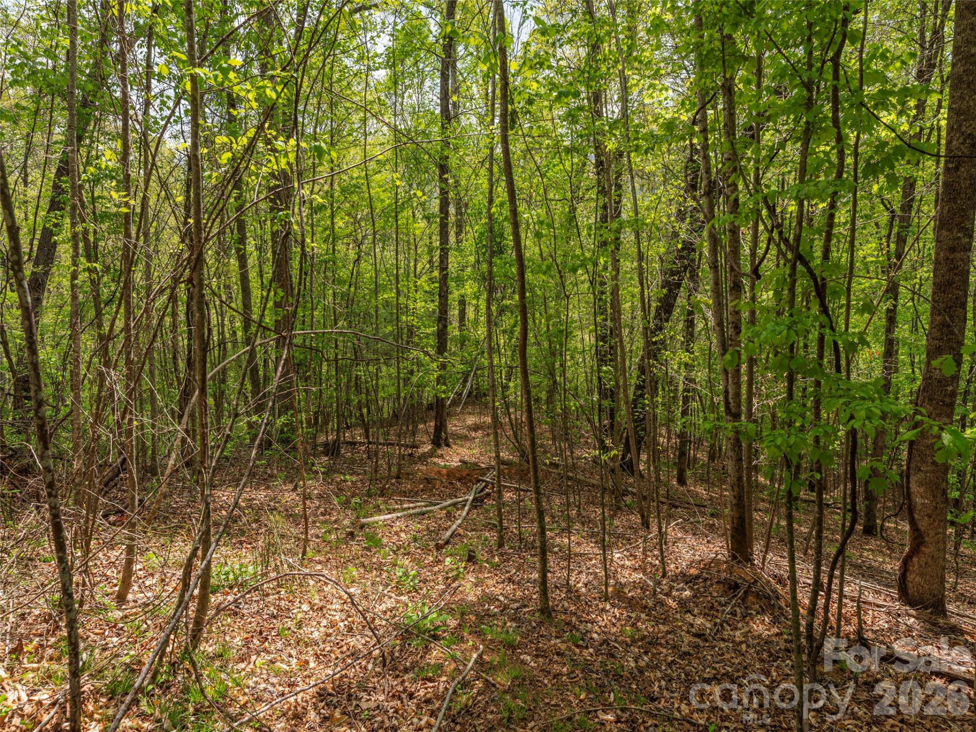 000 Caney Fork Road - Photo 13