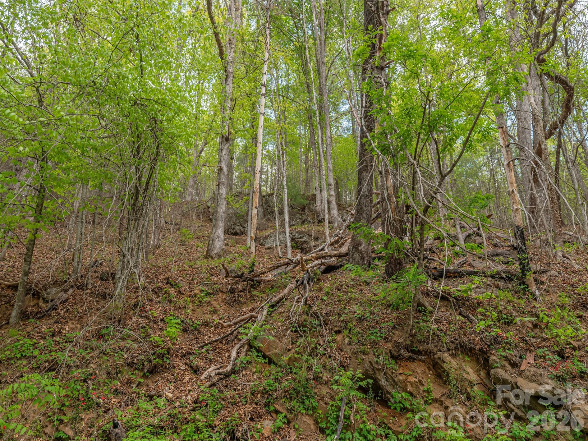 000 Caney Fork Road - Photo 16