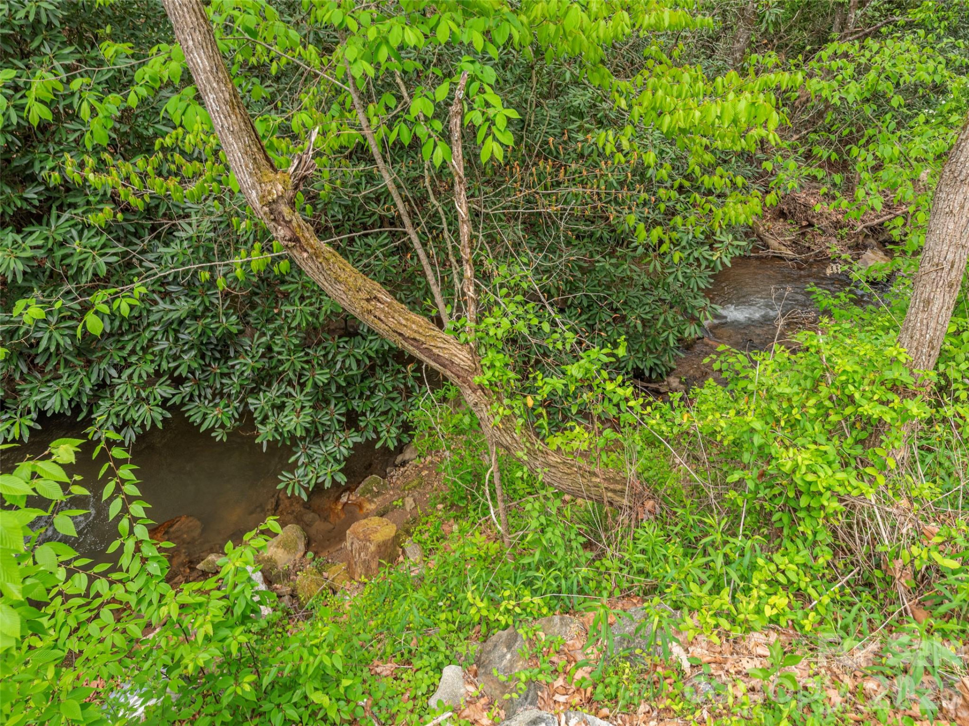 000 Caney Fork Road - Photo 17