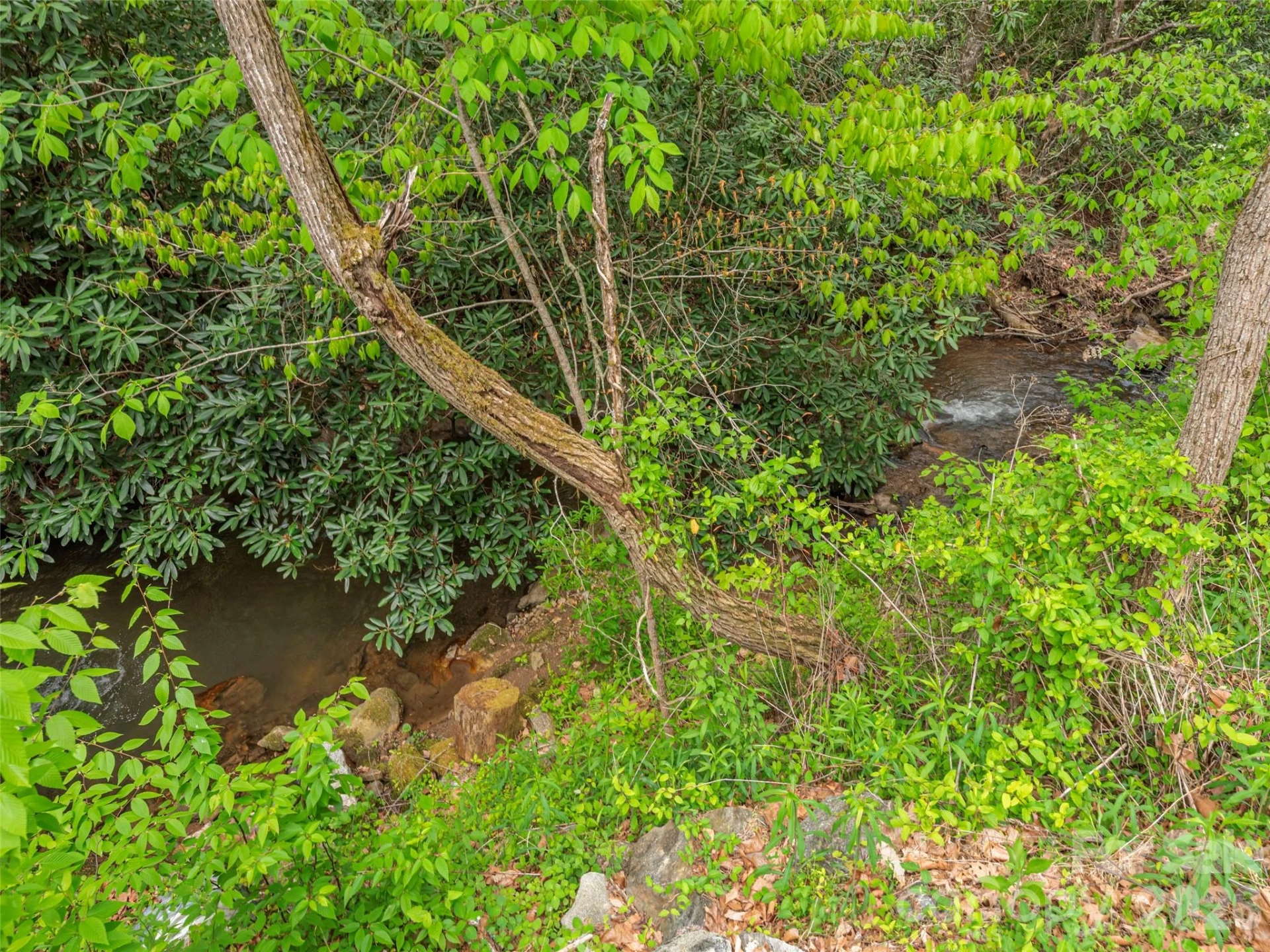 000 Caney Fork Road - Photo 17